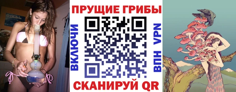 Псилоцибиновые грибы GOLDEN TEACHER  Горбатов 